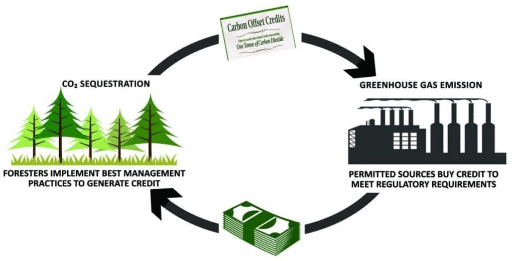 Carbon markets are trading systems in which carbon credits are sold and bought. 