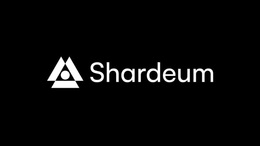 Blockchain Security and Privacy: Shardeum's Unique Approach