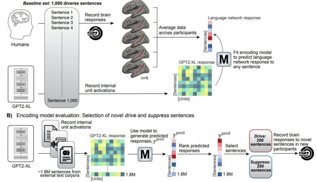 AI Verbal Mantras Trigger Unusual Brain Activity, a Cambridge Study Finds