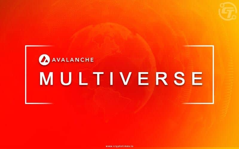 Avalanche Multiverse and Blizzard