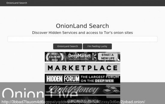5. Onionland Search