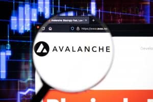 A Rising Force in the Digital Currency Arena: The Token Gaining Favor Among Avalanche Fans