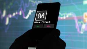 Investor Interest Peaks as Borroe Finance and MINA Capture Market Attention: What’s Driving the Momentum?